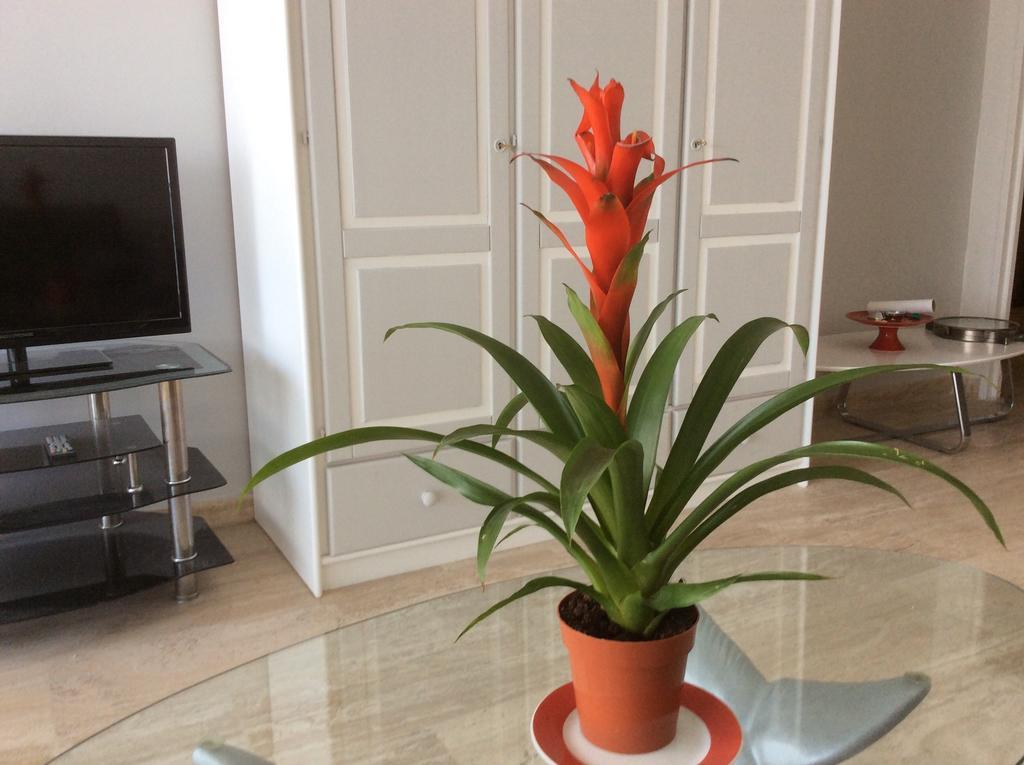 Appartement Dolce Vita Cagnes-sur-Mer Oda fotoğraf